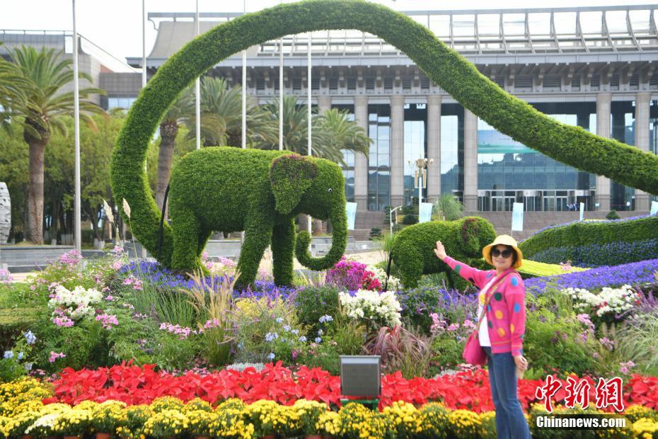 Cem canteiros de flores decoram Kunming para COP15