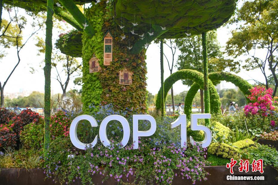 Cem canteiros de flores decoram Kunming para COP15