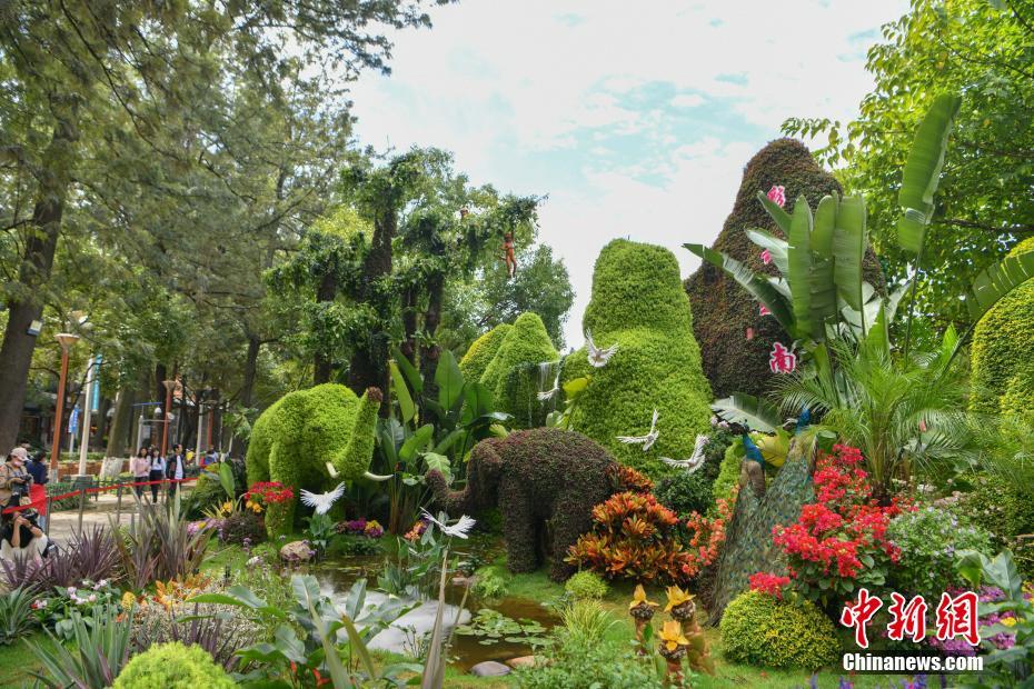 Cem canteiros de flores decoram Kunming para COP15