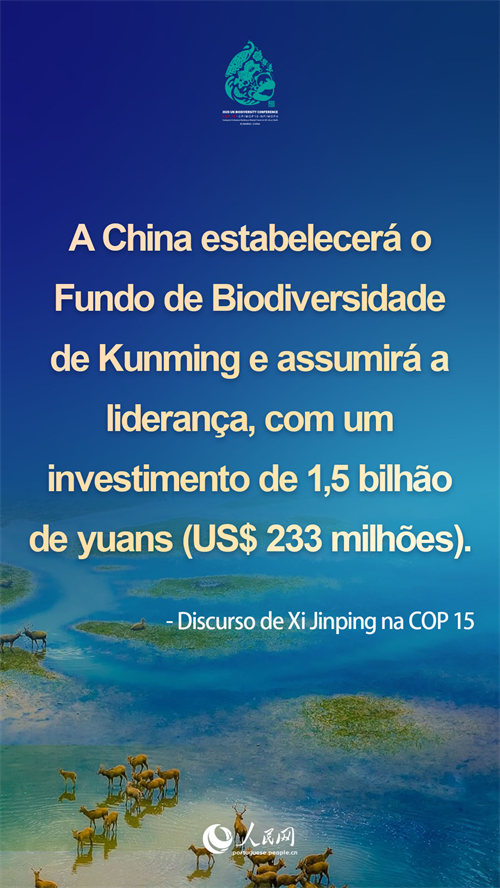 Infográfico: destaques do discurso de Xi Jinping na COP15