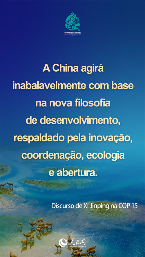 Infográfico: destaques do discurso de Xi Jinping na COP15