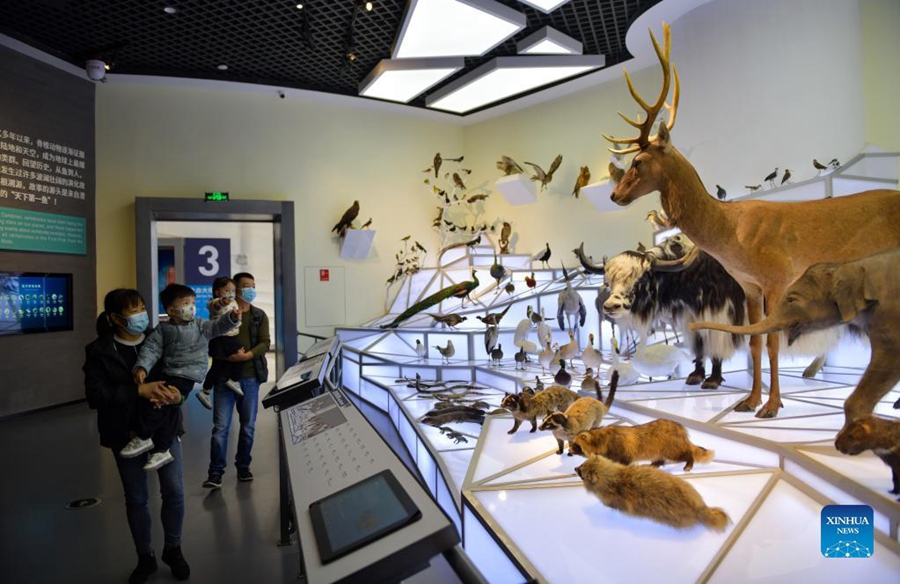 Galeria: Museu Arqueológico de Chengjiang, Yunnan