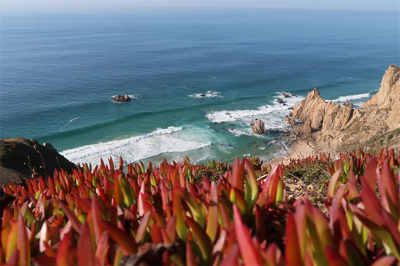 Galeria: contornos outonais do Cabo da Roca, Portugal