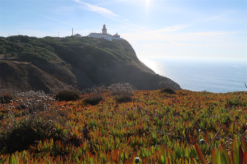 Galeria: contornos outonais do Cabo da Roca, Portugal