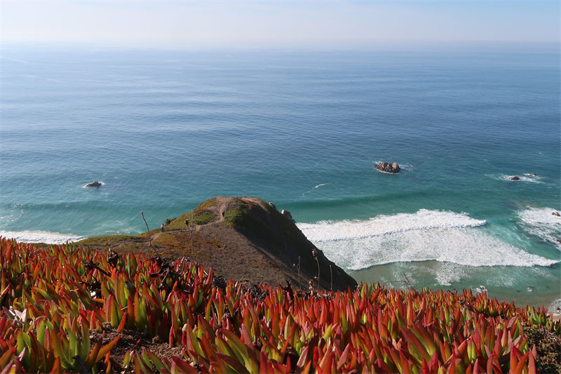 Galeria: contornos outonais do Cabo da Roca, Portugal