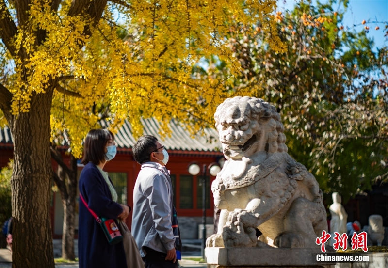 Galeria: paisagem de outono em Beijing