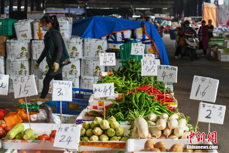 Abastecimento de vegetais e de outras necessidades diárias é suficiente em Changsha