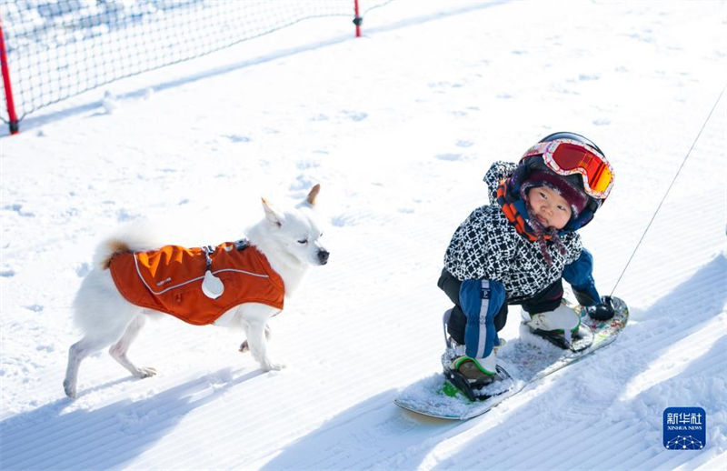 Hebei: bebê de 11 meses pratica esqui no Resort Taizicheng