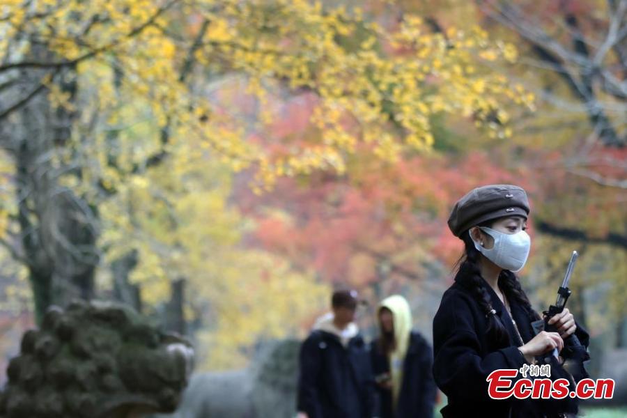 Nanjing: estrada com mais de 600 anos de história fica colorida no final do outono