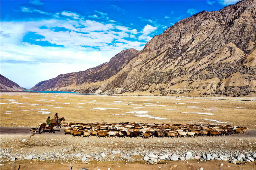 Zhaosu, Xinjiang: melhoria dos padrões de vida facilita migrações de pastores