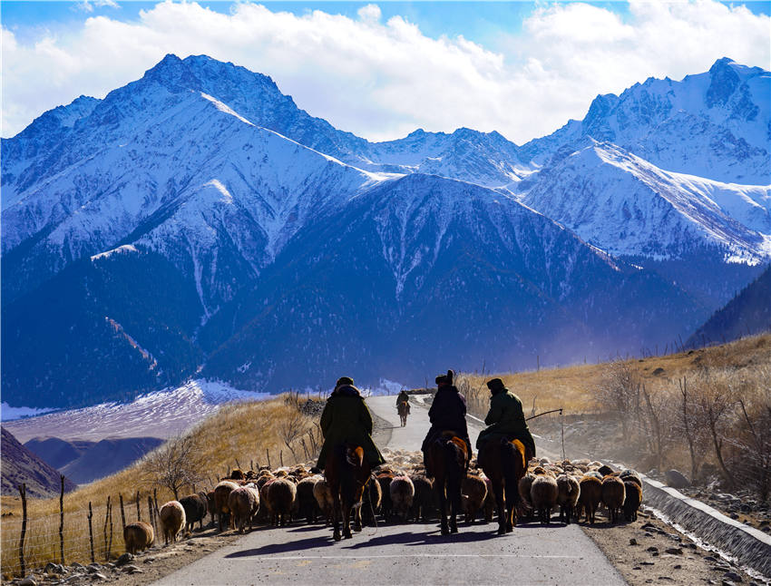 Zhaosu, Xinjiang: melhoria dos padrões de vida facilita migrações de pastores