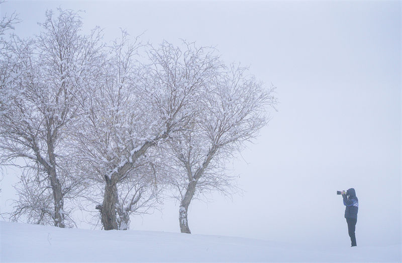 Galeria: rara queda de neve no deserto Taklamakan    