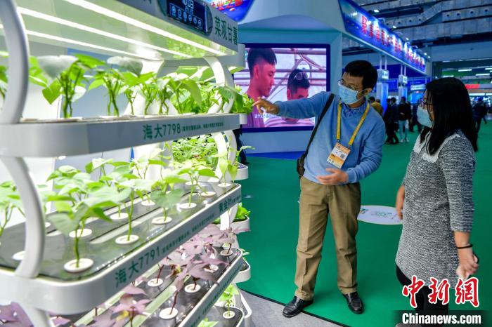 Feira Internacional de Inverno de 2021 inaugurada em Hainan