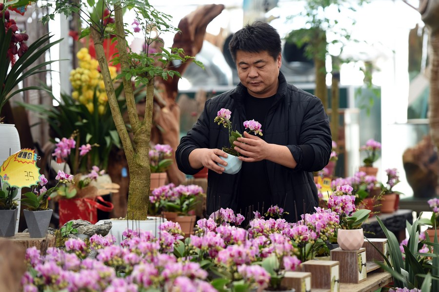 Sul de Anhui recebe Festival da Primavera com costumes tradicionais