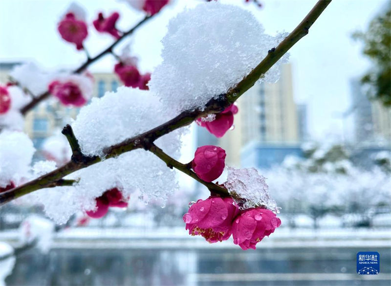 China registra queda de neve em várias cidades