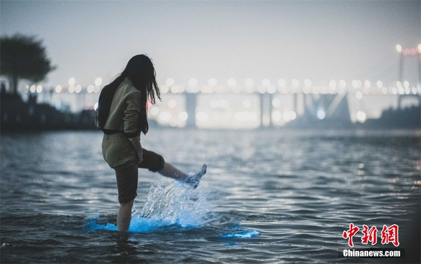 “Costa azul fluorescente” aparece no leste da China