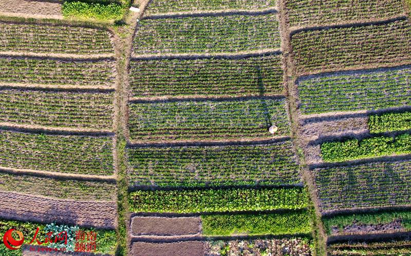 Haikou começa trabalho de lavragem dos campos durante a primavera