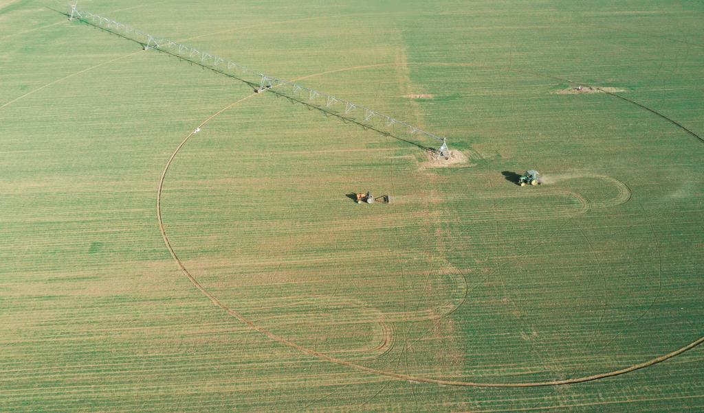 Plantio da primavera avança a bom ritmo na China