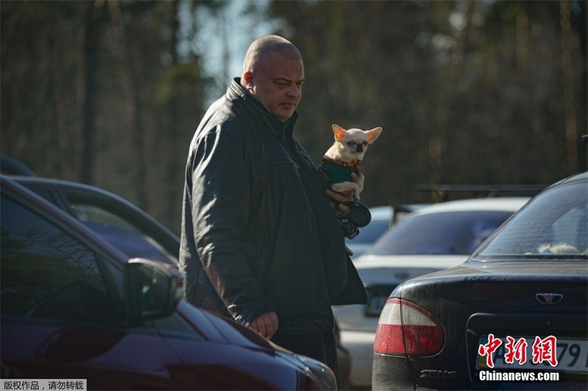 Ucrânia: populações evacuam com seus animais de estimação 