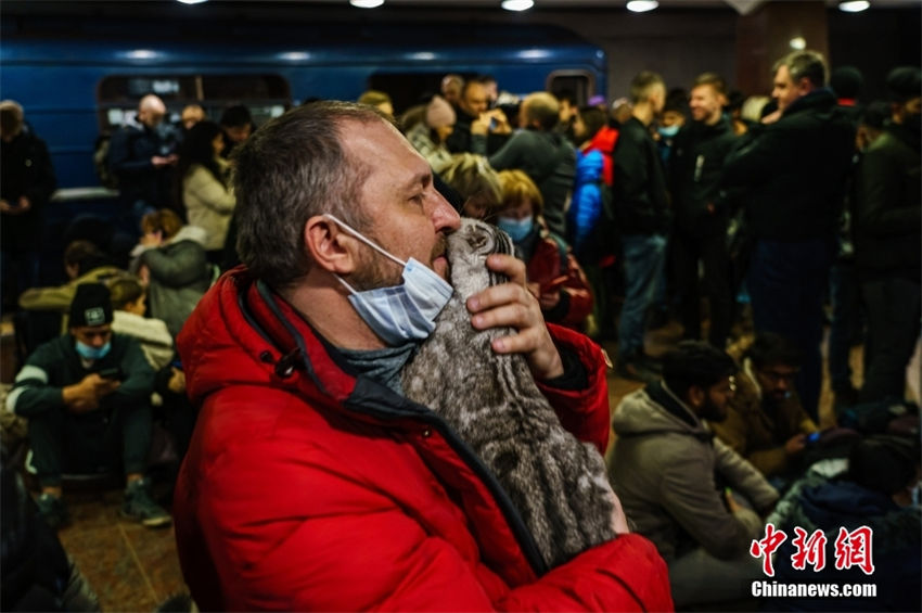 Ucrânia: populações evacuam com seus animais de estimação 