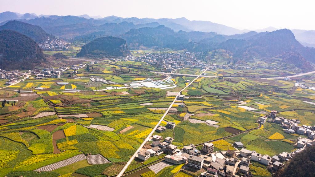 Paisagem de flores de colza na Vila de Mugang, na província chinesa de Guizhou