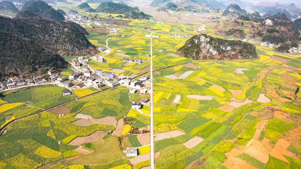 Paisagem de flores de colza na Vila de Mugang, na província chinesa de Guizhou