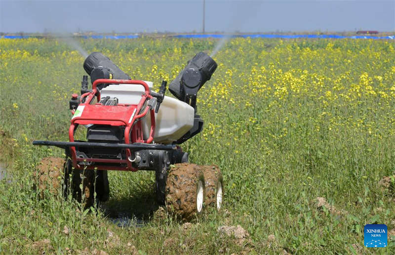 Programa de agricultura inteligente melhora a eficiência da produção agrícola em Jiangxi