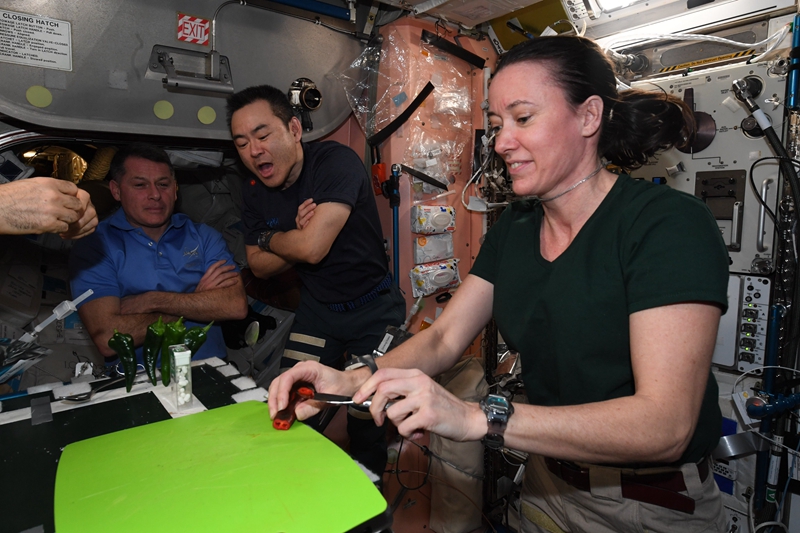 Experiência de plantação de pimenta na Estação Espacial Internacional é um sucesso