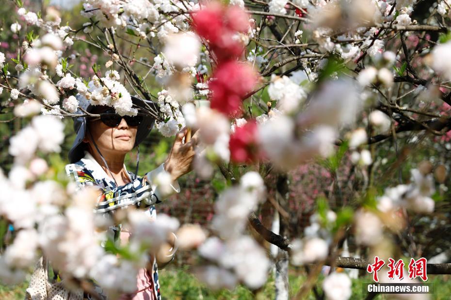 Galeria: hora de apreciar as flores e ver as belas paisagens