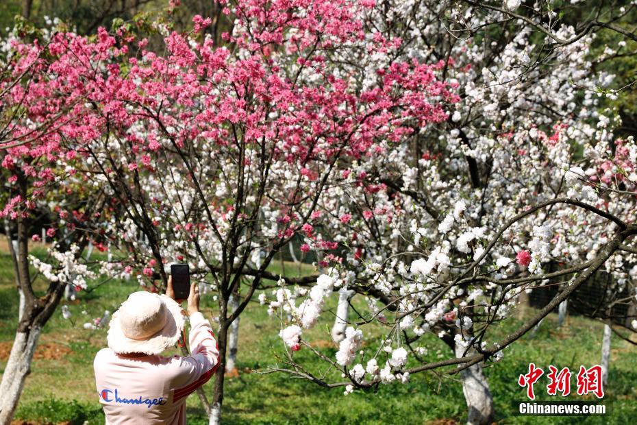 Galeria: hora de apreciar as flores e ver as belas paisagens