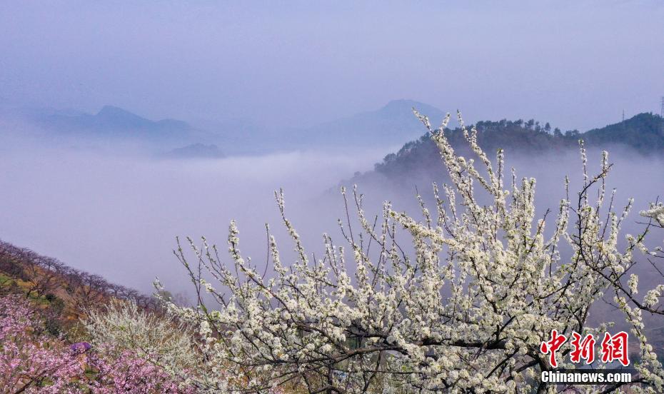 Galeria: hora de apreciar as flores e ver as belas paisagens