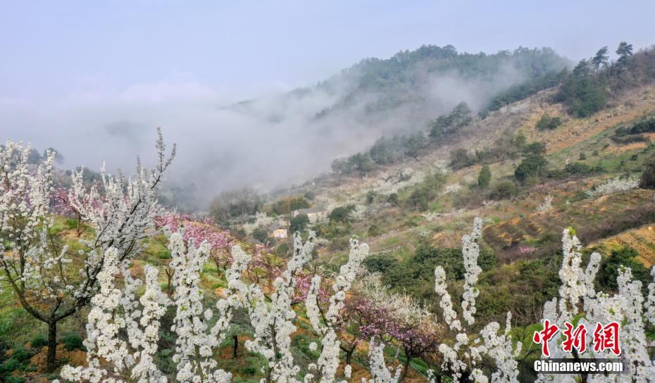 Galeria: hora de apreciar as flores e ver as belas paisagens