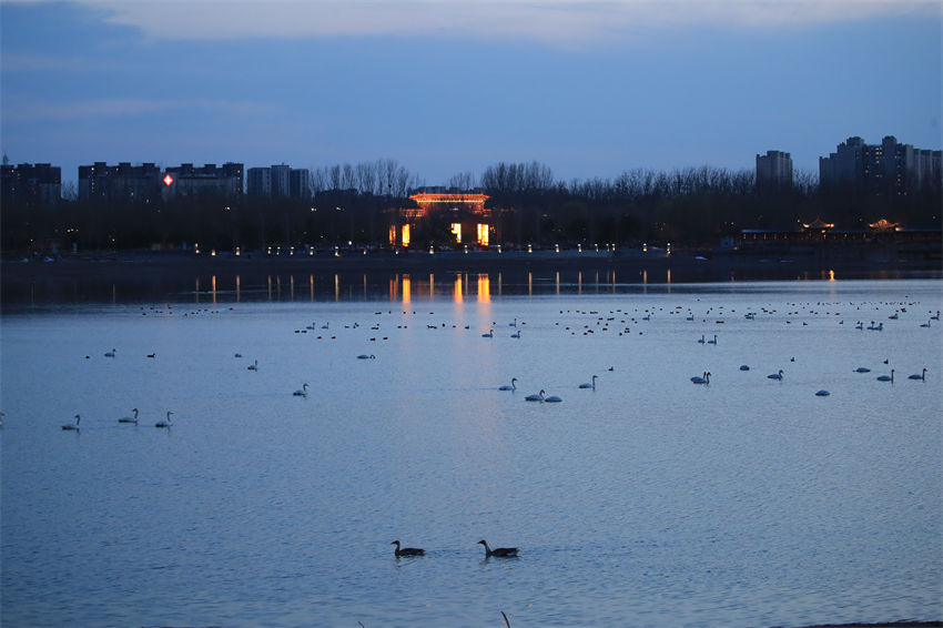 Parque Nanhaizi de Beijing transforma-se num 