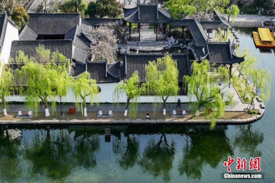 Galeria: Cenário primaveril do Parque do Lago Mochou em Nanjing