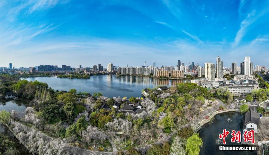 Galeria: Cenário primaveril do Parque do Lago Mochou em Nanjing