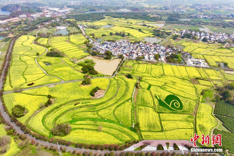 Galeria: flores pitorescas desabrocham em Nanjing