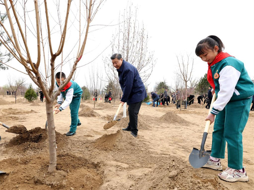 Xi Jinping planta árvores pelo 10º ano como o mais alto líder