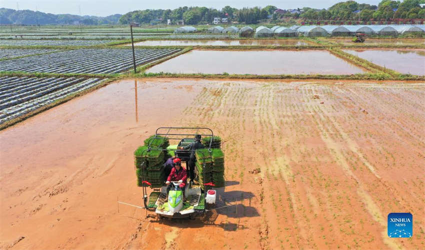 Galeria: lavoura primaveril em curso na China