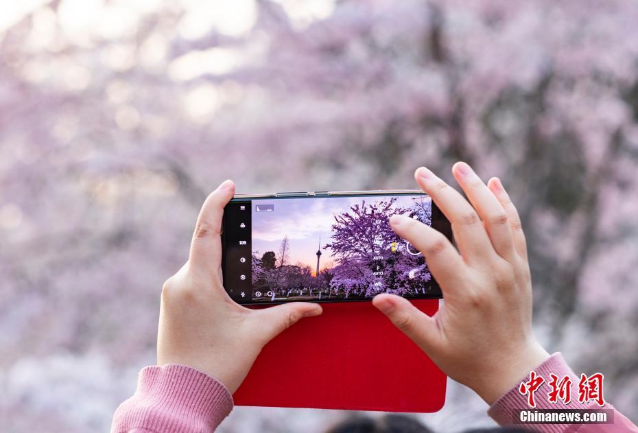 Beijing: Parque Yuyuantan atrai visitantes