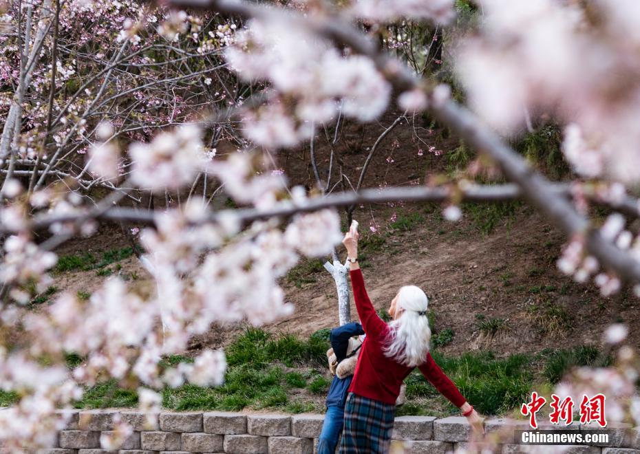 Beijing: Parque Yuyuantan atrai visitantes