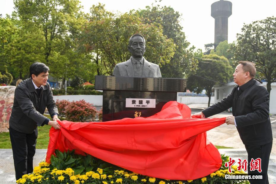 Estátua de bronze do “pai do arroz híbrido” é revelada em Changsha