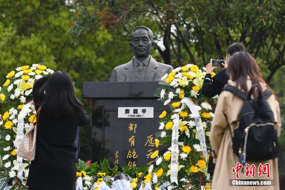 Estátua de bronze do “pai do arroz híbrido” é revelada em Changsha