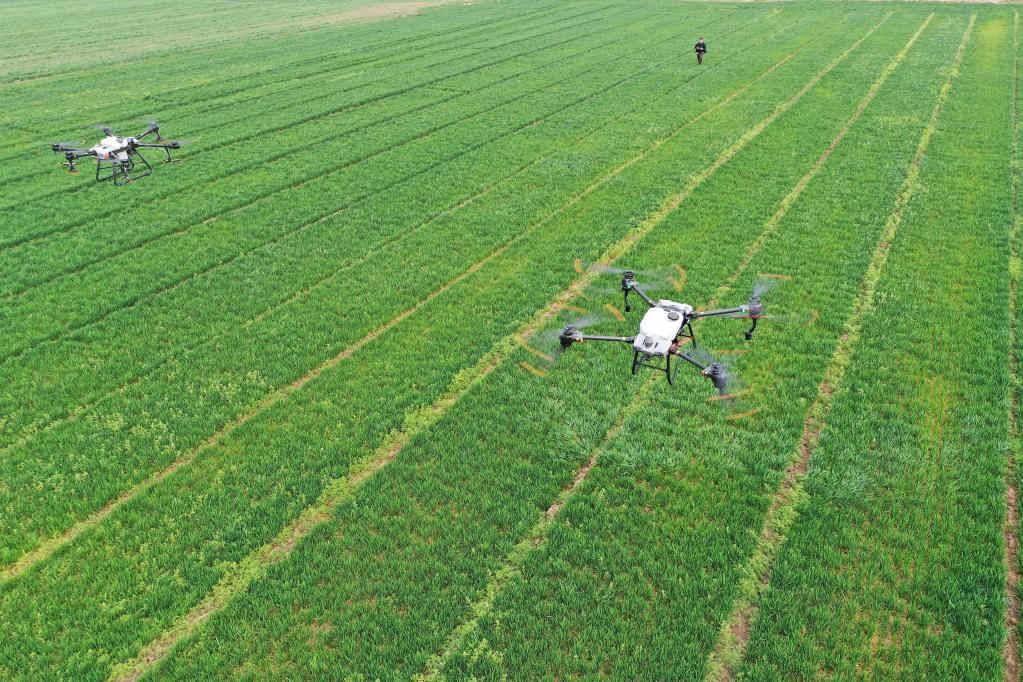 Atividades agrícolas em pleno andamento ao redor da China