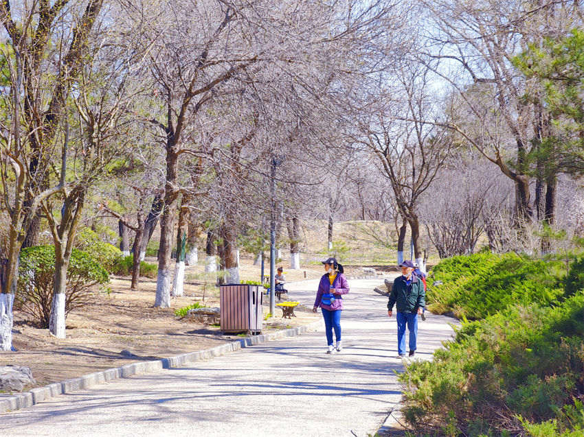 Parques de Beijing recebem cerca de 5 milhões de visitantes durante Festival de Qingming