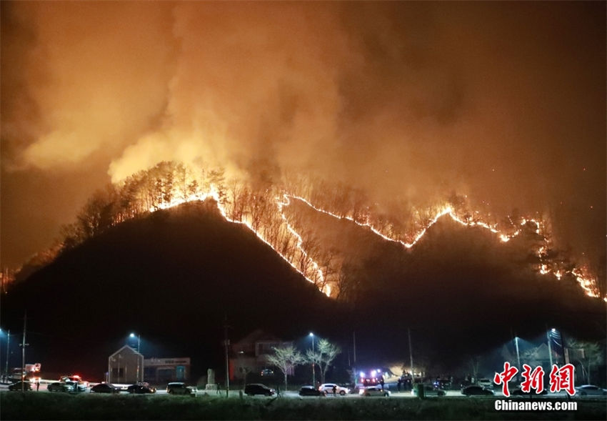 Coreia do Sul: incêndio florestal ocorreu no norte da Gangwon