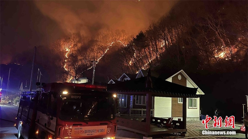 Coreia do Sul: incêndio florestal ocorreu no norte da Gangwon