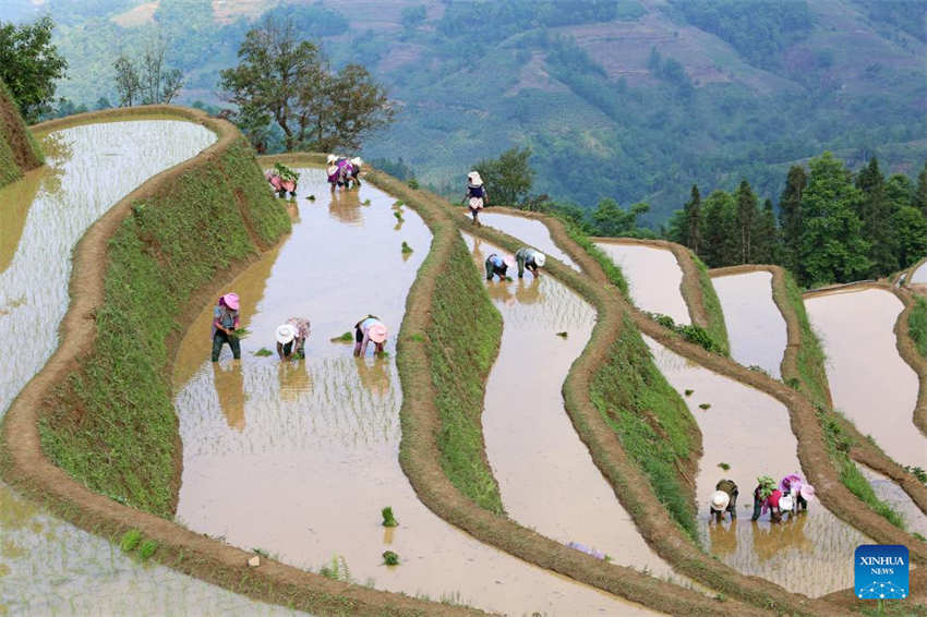 Galeria: camponeses ocupados com agricultura de primavera em toda a China