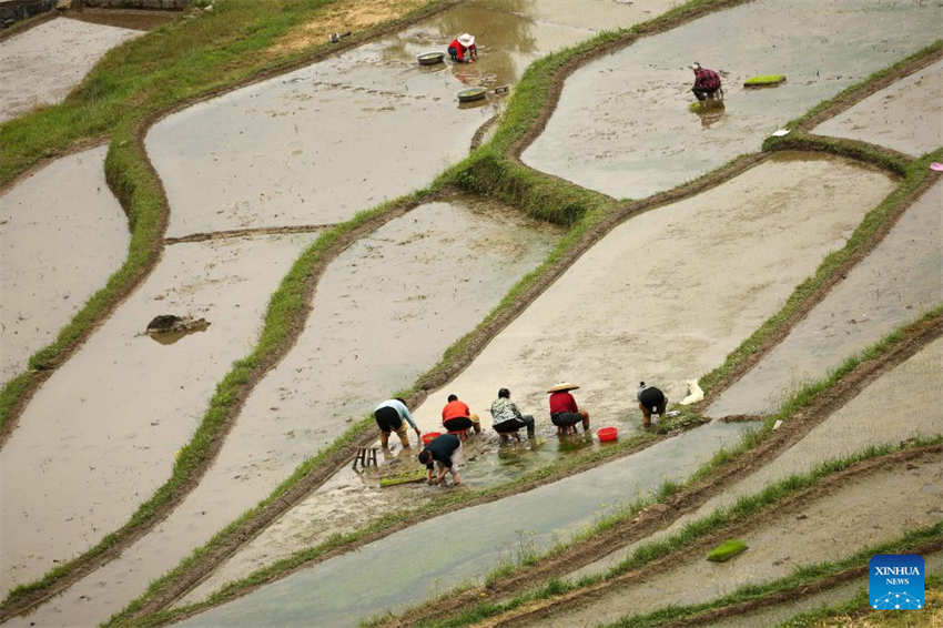 Galeria: camponeses ocupados com agricultura de primavera em toda a China