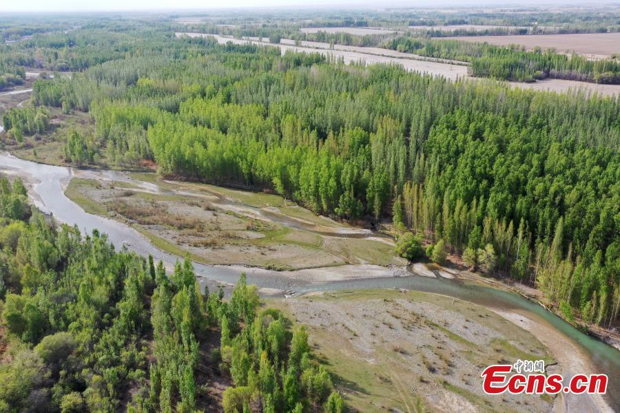 Galeria: Vale do rio Bortala em Xinjiang