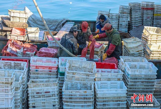 China inicia proibição anual de pesca de verão